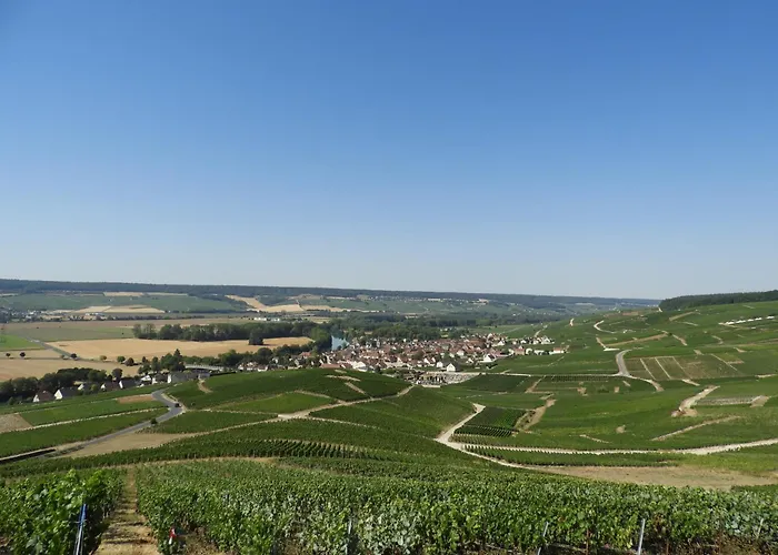 Les Galipes